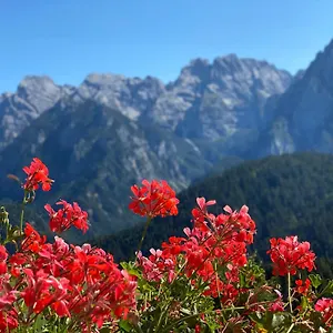 Tre Pini Hotel Danta